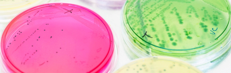 STC Group, Microbiology & Sanitation | Antimicrobial